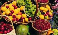 all-season-fruits