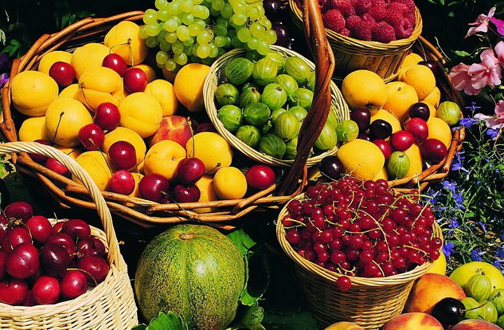 all-season-fruits
