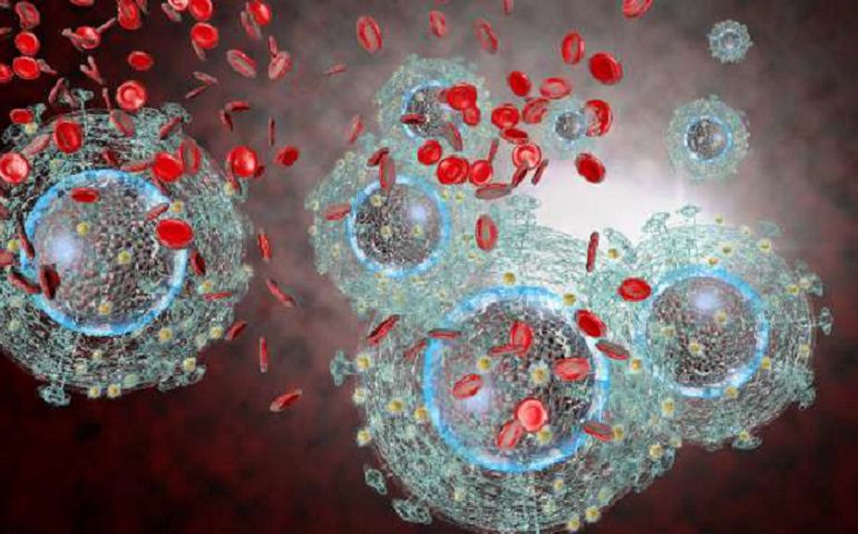 Drug resistant strains