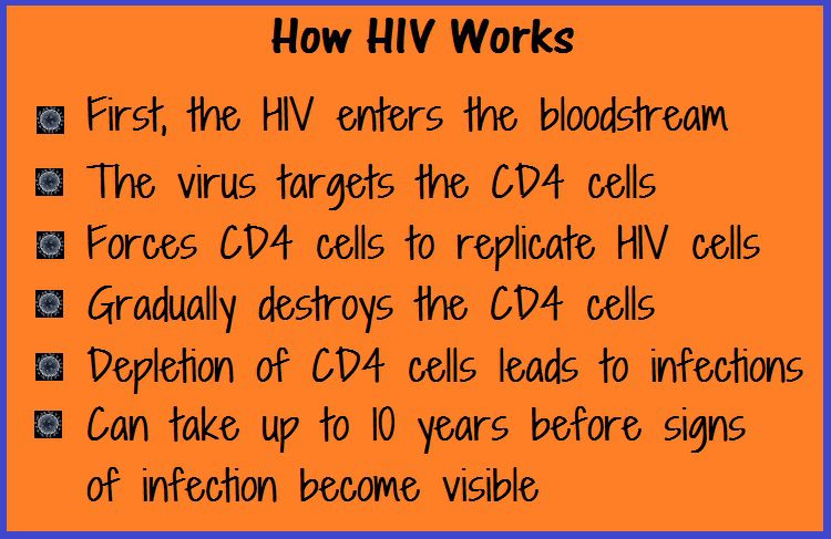 AIDS-How-HIV-works