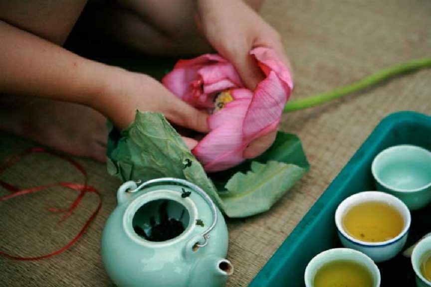 kuding-vietnamese-lotus-tea